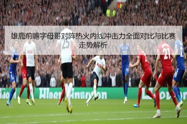 雄鹿前瞻字母哥对阵热火内线冲击力全面对比与比赛走势解析